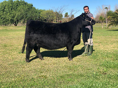 Chascomús Cotra